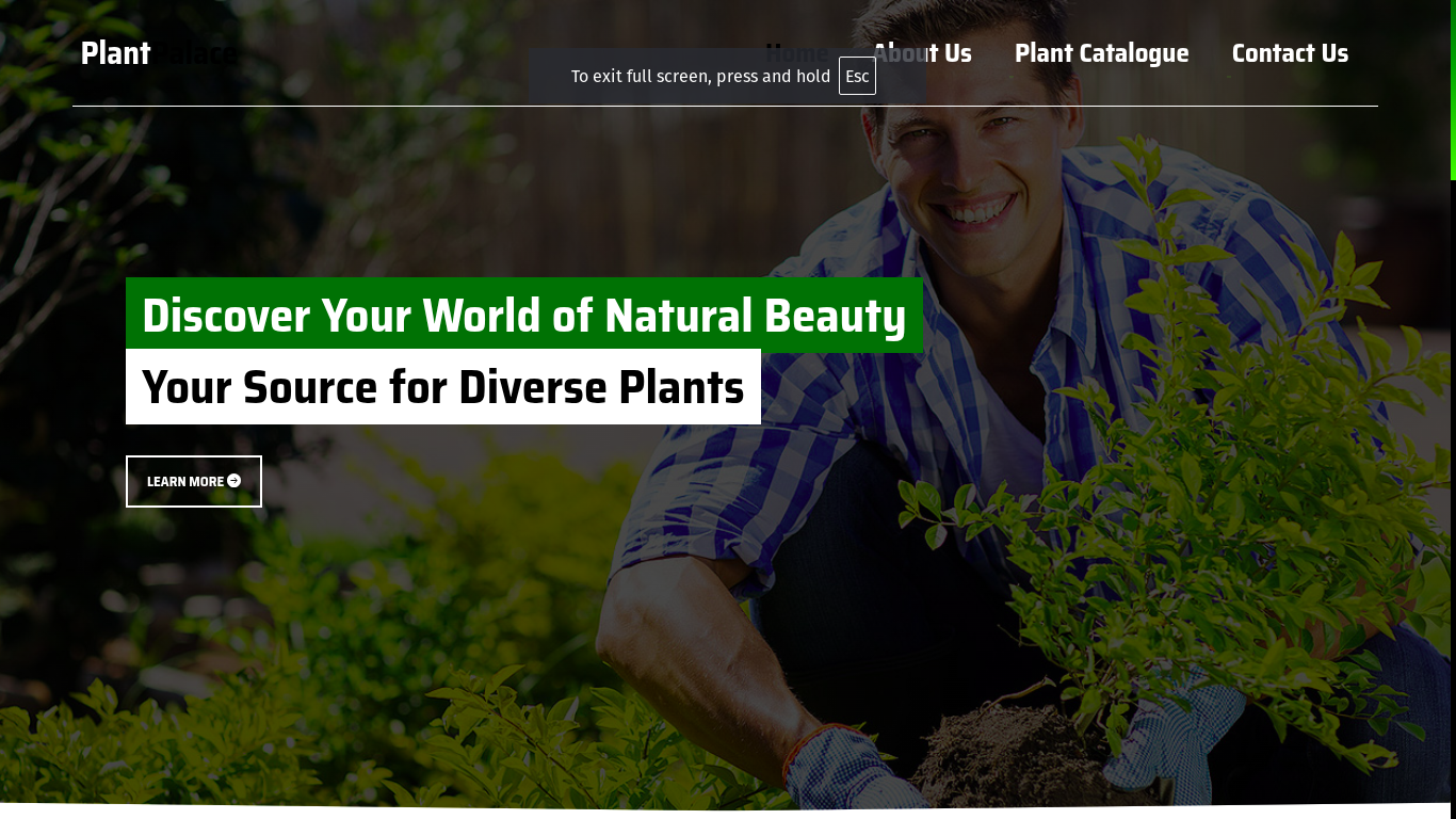 Plant Palace